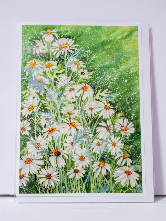 "Wild Daisies" Greeting Card