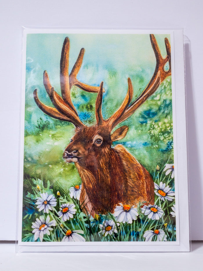 "Elk in the Daisies" Greeting Card
